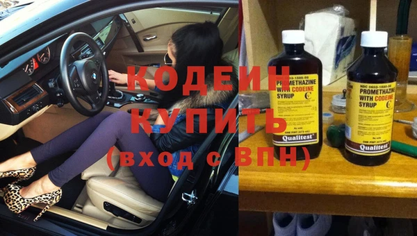 мяу мяу мука Алзамай