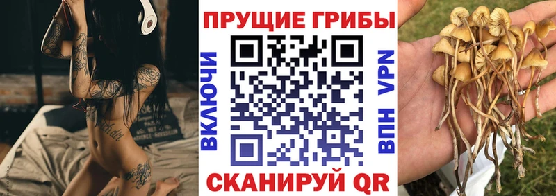 Псилоцибиновые грибы мицелий что такое наркотик Берёзовский